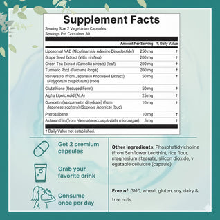 Solara Liposomal NAD+ Ultimate 1,000mg – Advanced Anti-Aging & Energy Formula